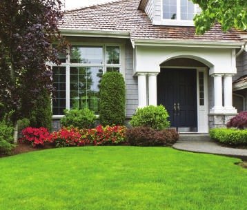 Green and natural landscaping